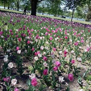 Meet your Posher, Imene